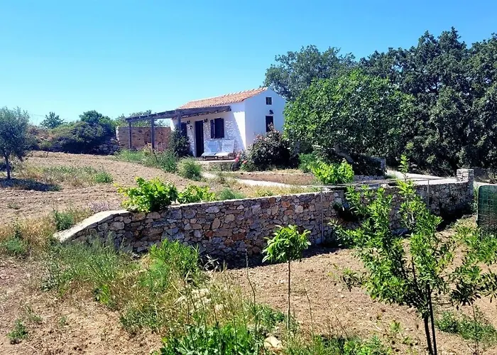 The Pigeon House